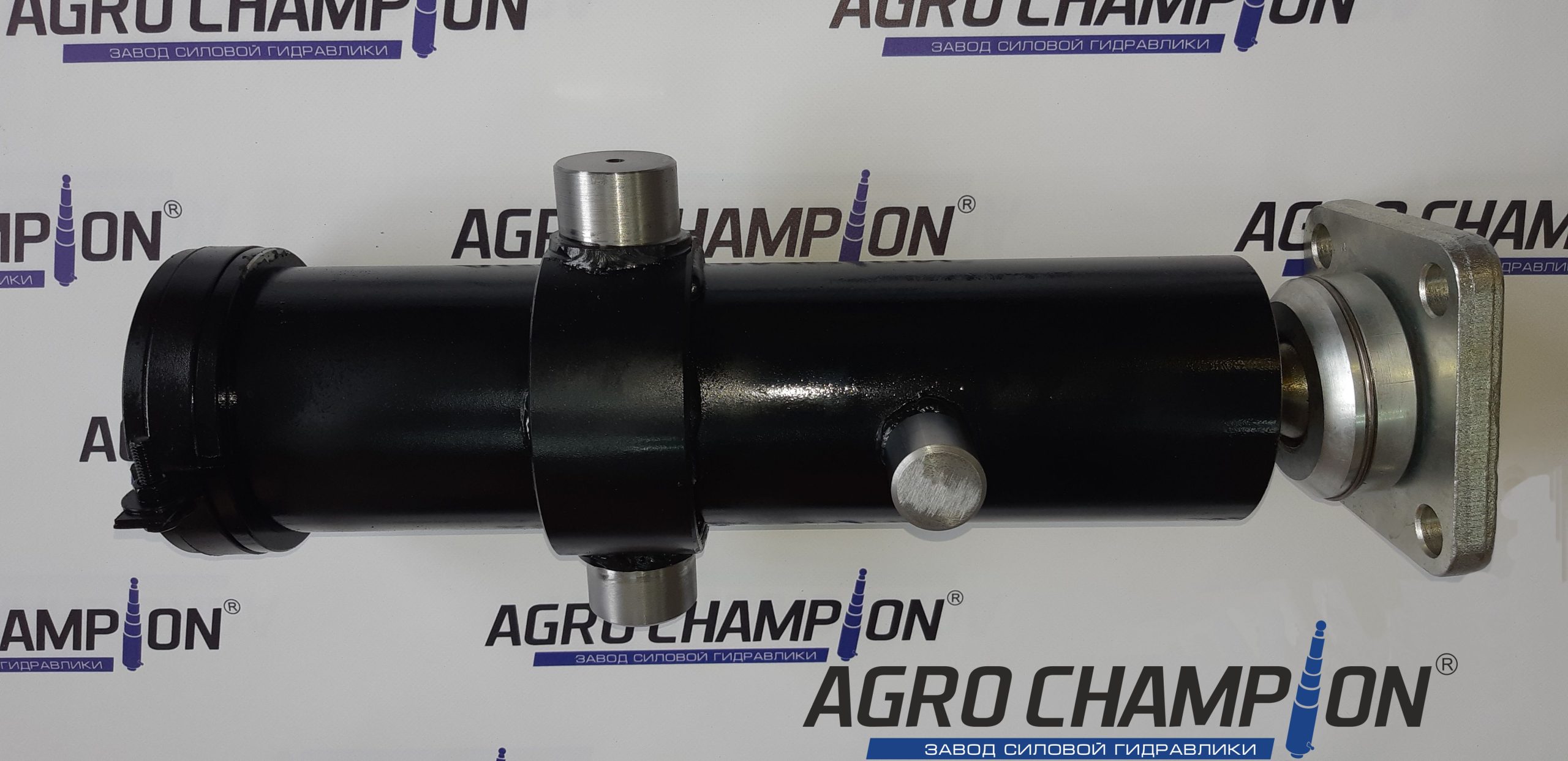 55102 гидроцилиндр